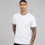 Lacoste Mens T-Shirt White