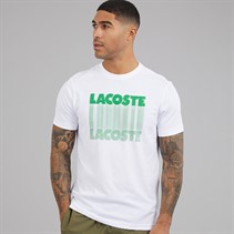 Lacoste Mens T-Shirt White