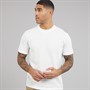 Lacoste Mens T-Shirt Flour