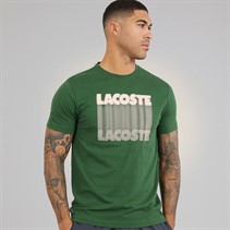 Lacoste Mens T-Shirt Green
