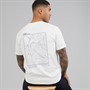 Lacoste Mens T-Shirt Flour