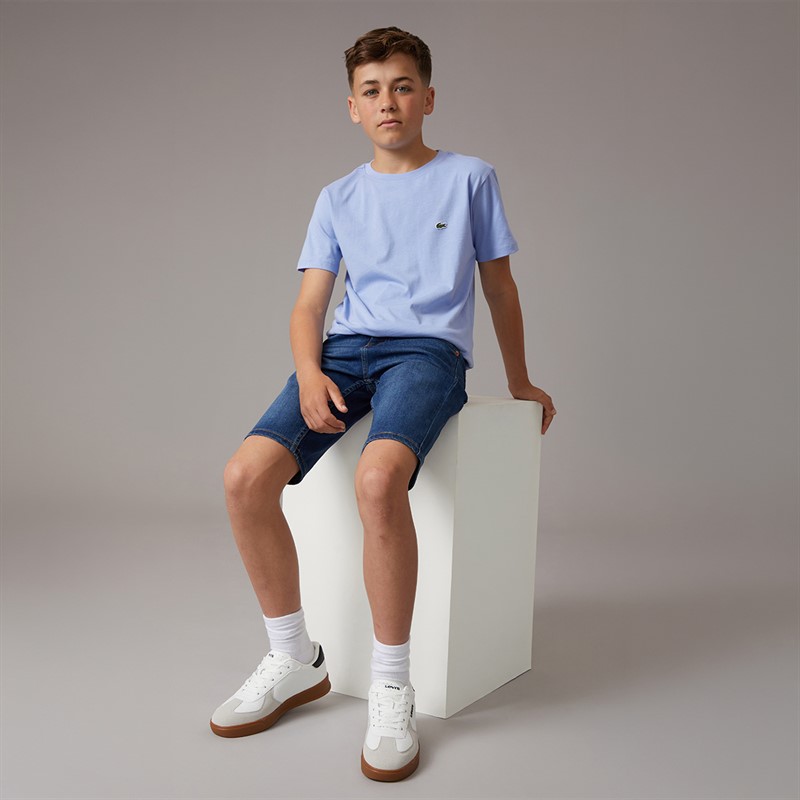 Lacoste Boys T-Shirt Delphinium