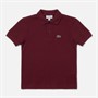 Lacoste Boys Polo Shirt Zin