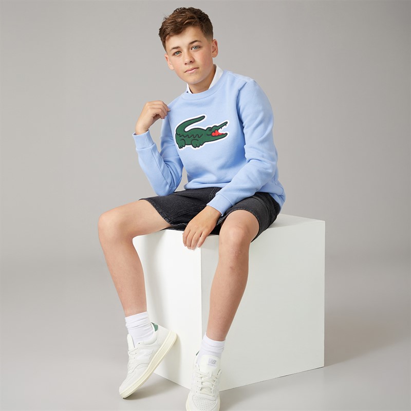 Lacoste Boys Sweatshirt Delphinium