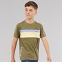 Lacoste Boys T-Shirt Olive/Farine