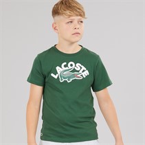 Lacoste Boys Wordmark Croc T-Shirt Vert