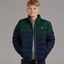 Lacoste Boys Colourblock Puffer Jacket Sinople
