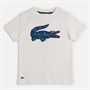 Lacoste Boys Croc T-Shirt Farine