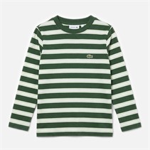 Lacoste Boys Long Sleeve Stripe T-Shirt Vert
