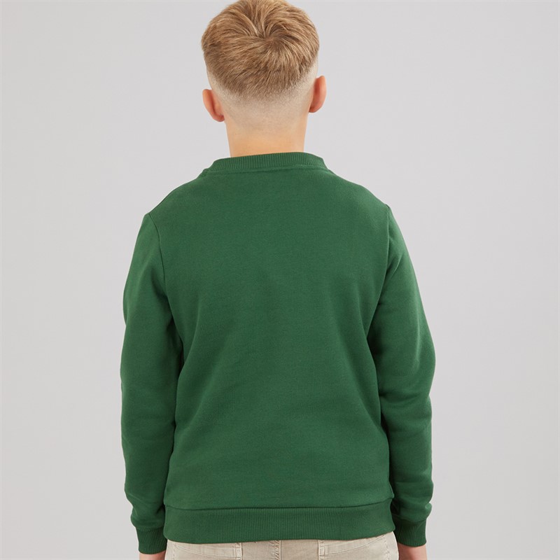 Lacoste Boys Chenille Sweatshirt Vert