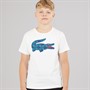 Lacoste Boys Croc T-Shirt Farine
