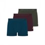 Lyle And Scott Vintage Herre Barclay Tre Pak Underbukser Klatre Efeu / Matros Blå / Vinsmagning