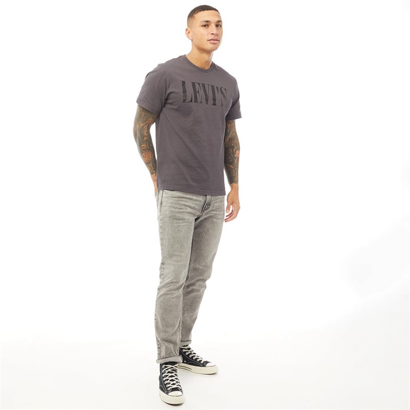Levi's Herren Relaxed Graphic T-Shirt Schiefergrau