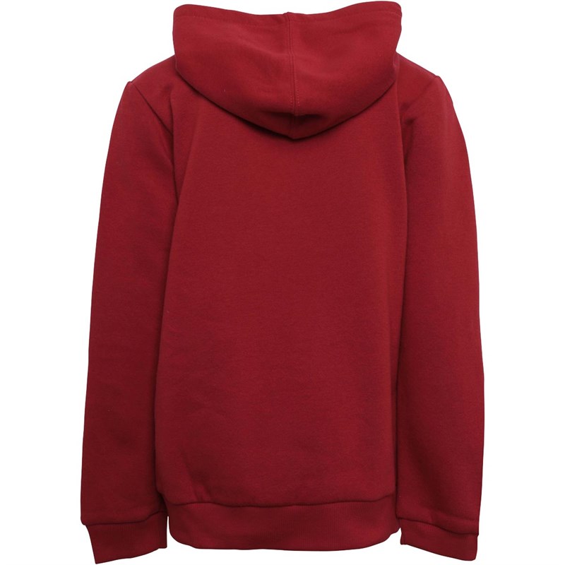 Levi's Peuter Chenille Batwing Hoodie Rood