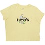 Levi's Damskie Plus Size Varsity T-shirty Żółty