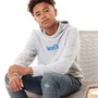 Levi's Sweats à Capuche Logo Garçon Gris Chiné