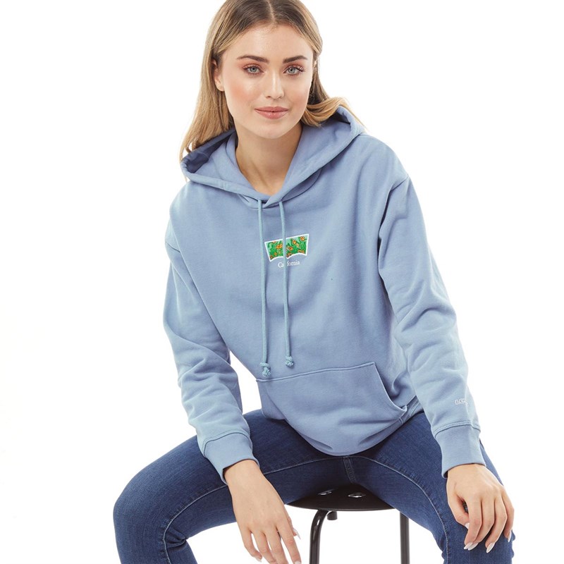 Buy Levi's Womens Graphic Standard Hoodie Country Blue