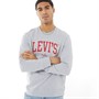Levi's Heren T3 Graphic Sweaters Lichtgrijs
