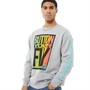 Levi's Heren Graphic Sweaters Grijs