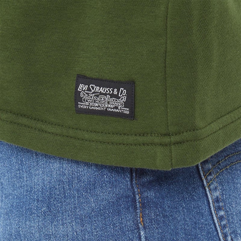 Levi's Mens Fillmore Rugby Hoodie Fillmore Block Mossy Green