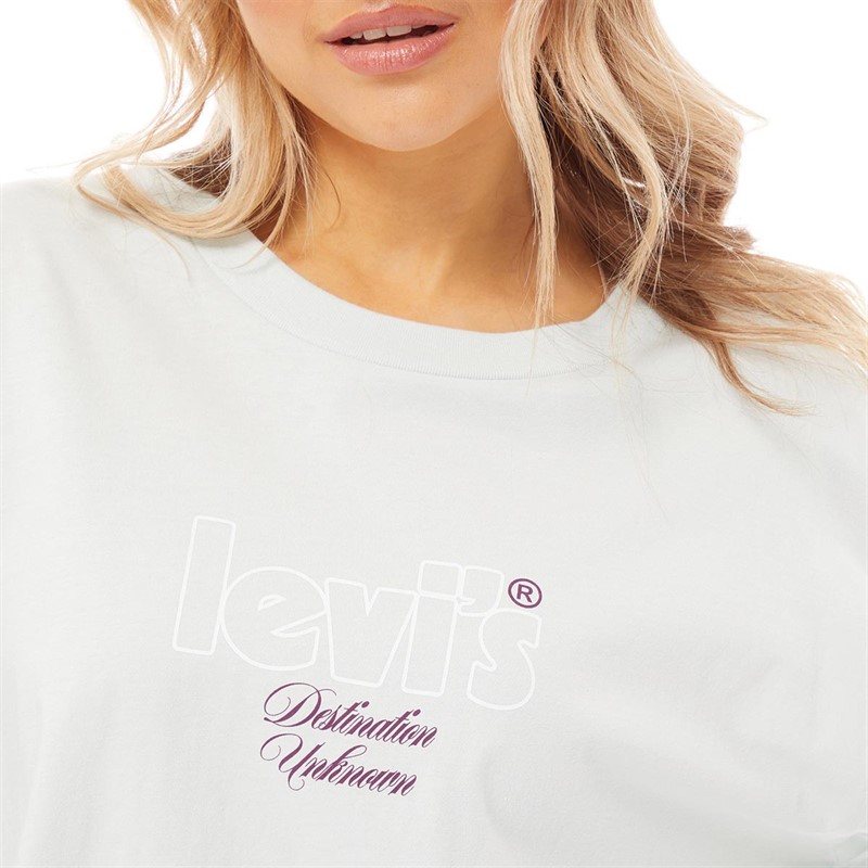 Levi's Womens Graphic Long Sleeve Top LS Vintage Postcard Misty Blue