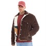 Levi's Mens Sherpa Trucker Jacket Hot Fudge