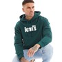 Levi's Mens Relaxed Graphic Hoodie Core Poster Hoodie Ponderosa Pine