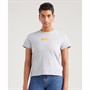 Levi's Dames Graphic Classic Tops Gemeleerd Grijs