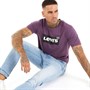 Levi's Mens Standard Fit Graphic T-Shirt Hortensia