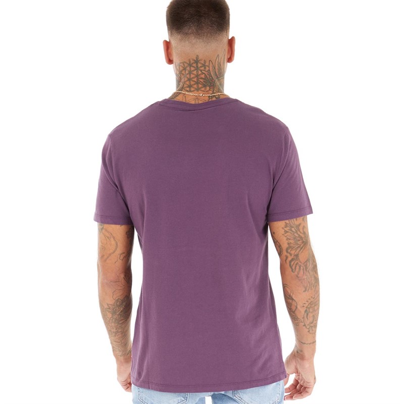 Levi's Mens Standard Fit Graphic T-Shirt Hortensia