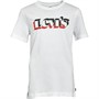 Levi's Drenge Short Graphic T-shirts Hvid