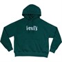 Levi's Womens Plus Size Graphic Standard Hoodie Diamond Fill Deep Sea Moss