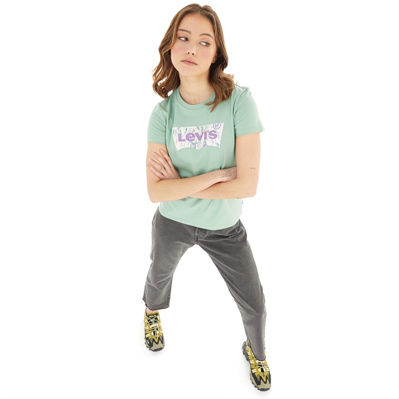 Levi's Womens The Perfect Tee Watercolor Fill T-Shirt Watercolor Fill BW Granite Green