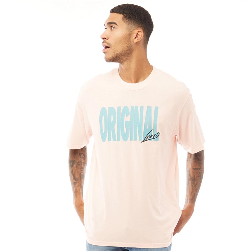 oversized levi t shirt