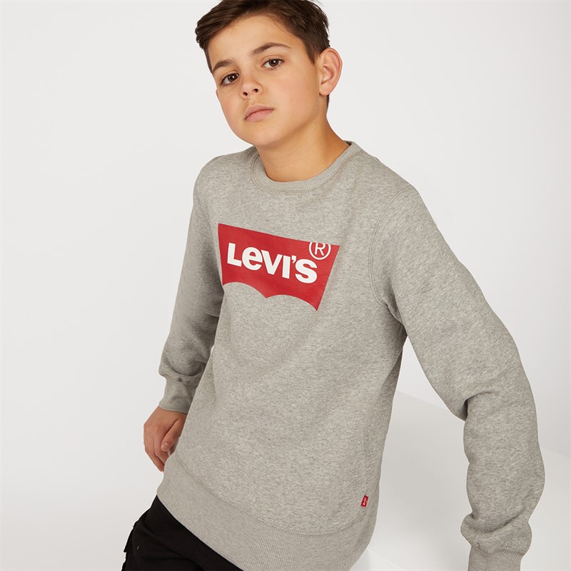 Levi's Boys Batwing Crew Neck Sweatshirt Grey Heather