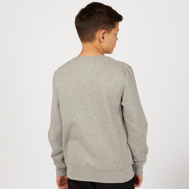 Levi's Boys Batwing Crew Neck Sweatshirt Grey Heather