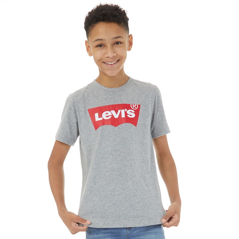 Levi's Jongens Vleermuis T-Shirt Grijs Melange