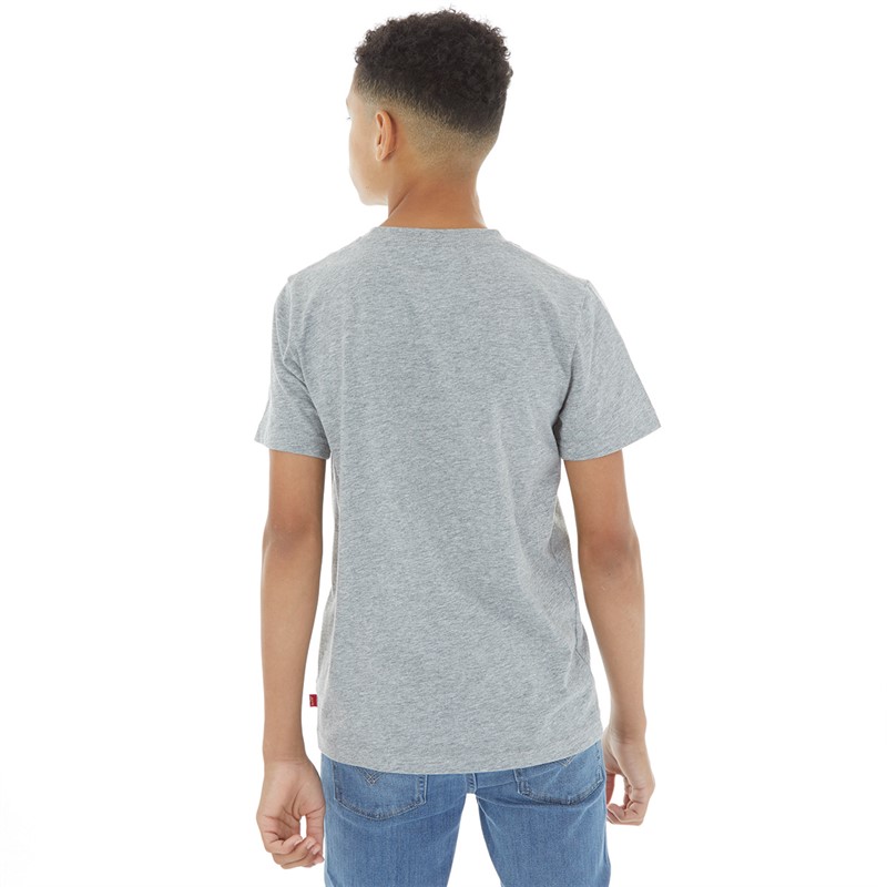 Levi's Jongens Vleermuis T-Shirt Grijs Melange