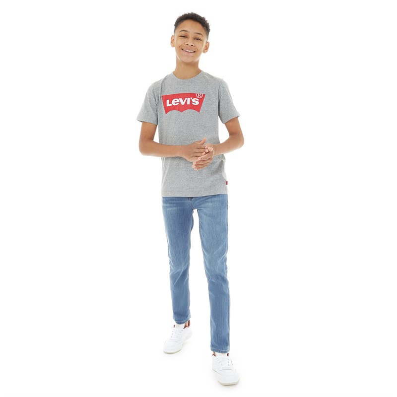 Levi's Jongens Vleermuis T-Shirt Grijs Melange