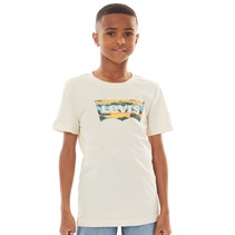 Levi's Boys Aop Batwing T-Shirt Birch