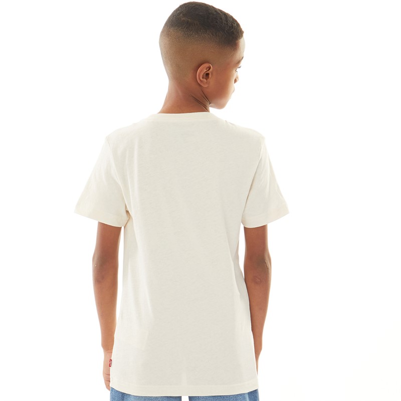 Levi's Boys Aop Batwing T-Shirt Birch