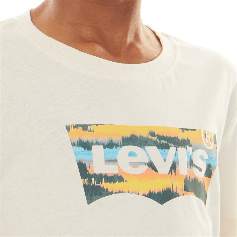 Levi's Boys Aop Batwing T-Shirt Birch