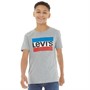 Levi's Boys Logo T-Shirt Grey Heather