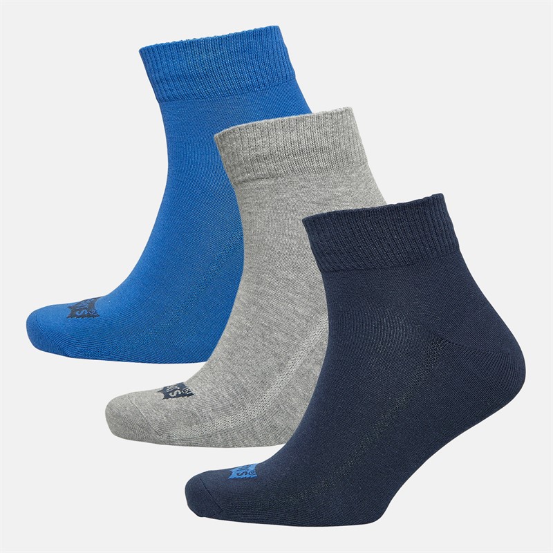 Levi's Mens Batwing Logo Recycled Two Pack Low Cut Socks Blue/Grey - Size 39