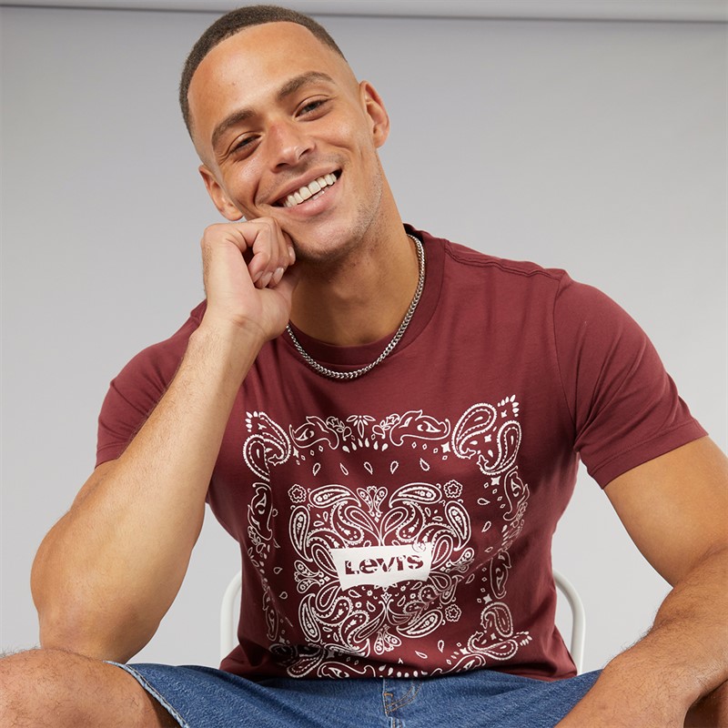 Levi's Mens Graphic T-Shirt Chocolate Truffle - Size XL
