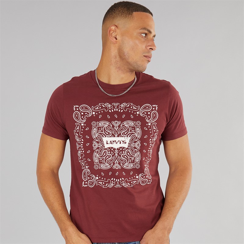 Levi's Mens Graphic T-Shirt Chocolate Truffle