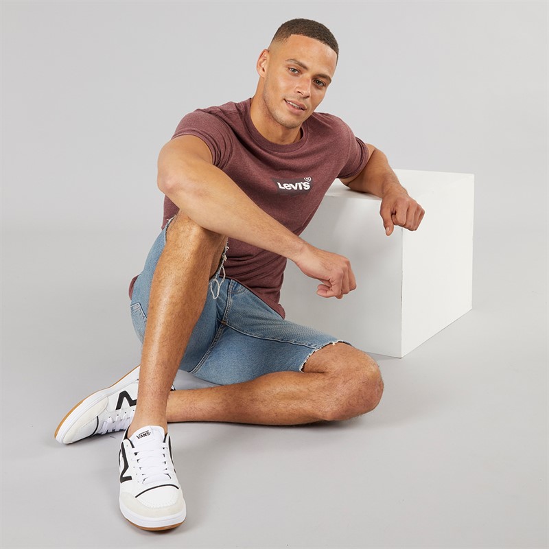 Levi's Mens Graphic T-Shirt Andorra