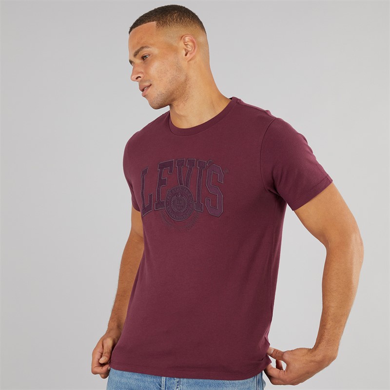 Levi's Mens Graphic T-Shirt Fig