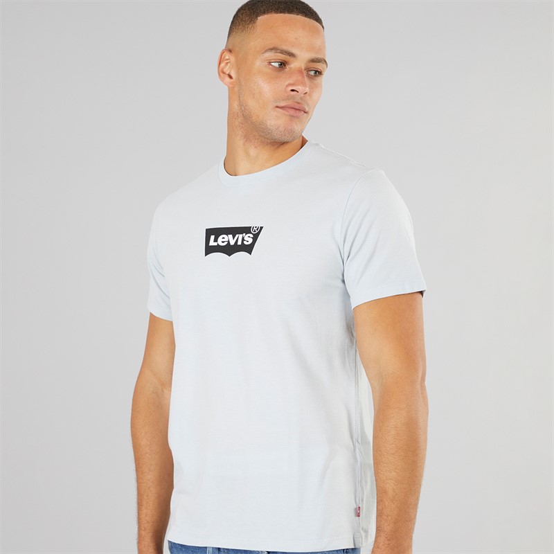 Levi's Mens Graphic T-Shirt Niagara Mist