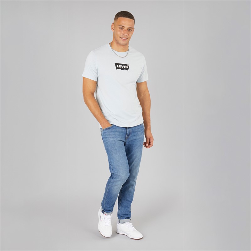Levi's Mens Graphic T-Shirt Niagara Mist